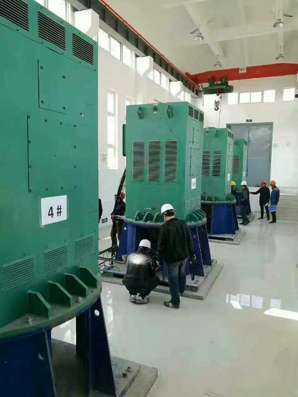 福鼎某污水处理厂使用我厂的立式高压电机安装现场